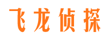 关岭侦探